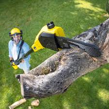 Best Storm Damage Tree Cleanup  in South Brooksville, FL